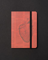 Anatomical Heart Dark Observation Softcover