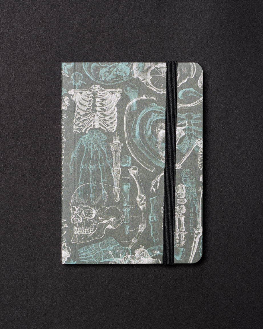 Skeleton Dark Observation Softcover