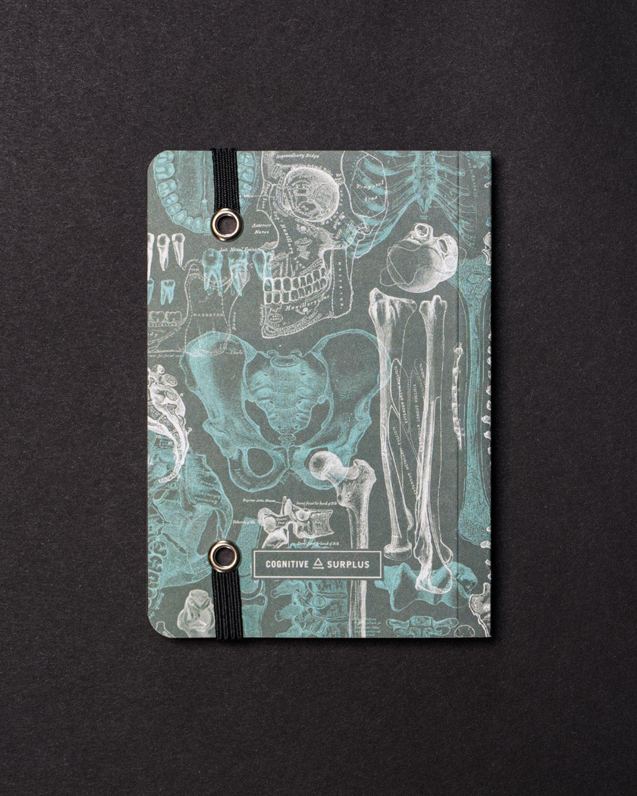 Skeleton Dark Observation Softcover
