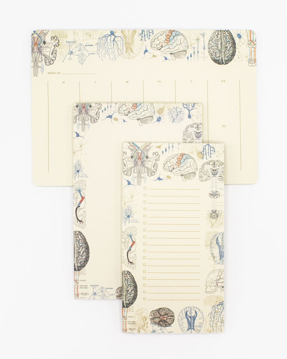 Pads_Brain_2a6bb0ec-8b8c-4738-b15f-48c651f7655f.jpg