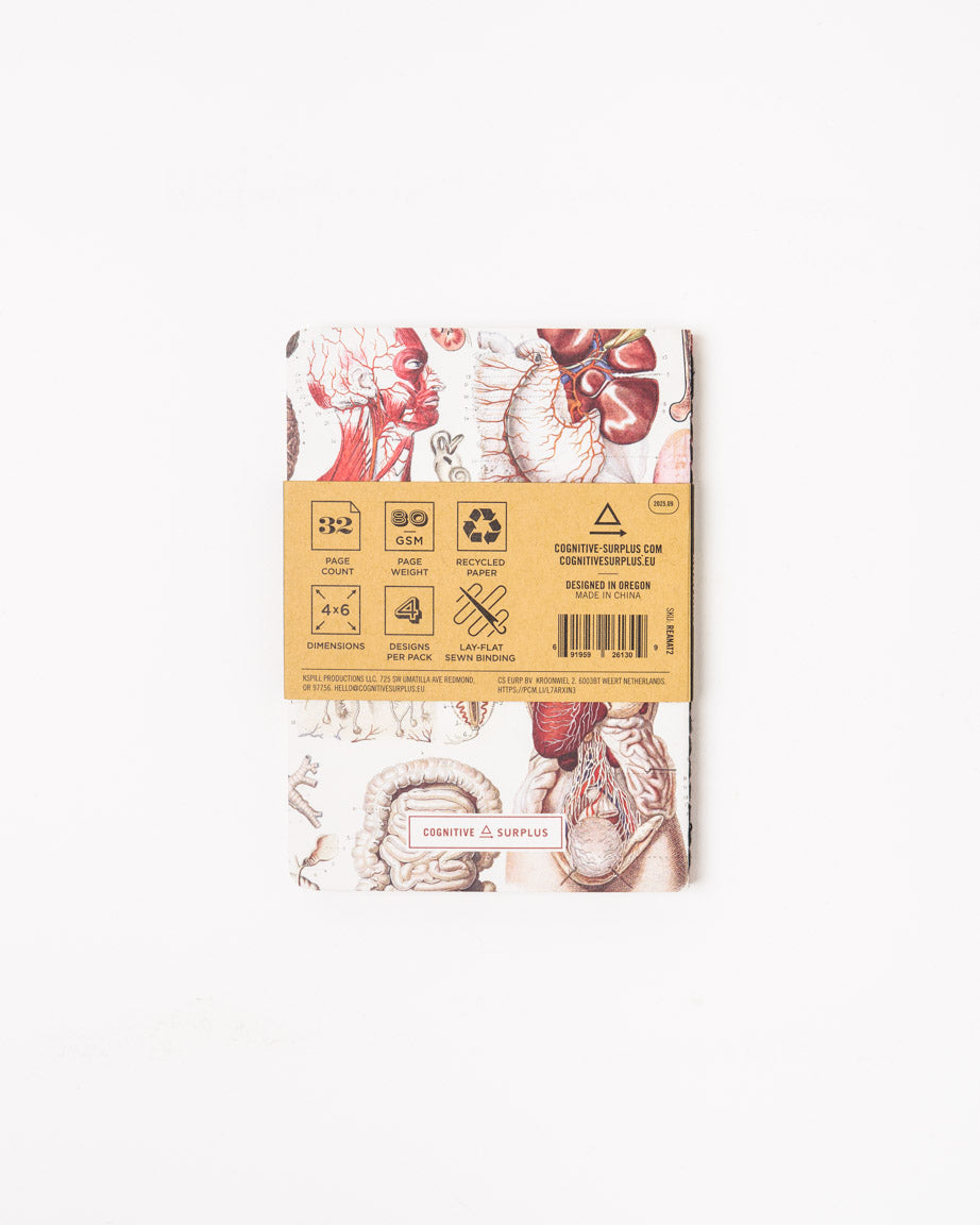 Anatomy Pocket Notebook 4-pack