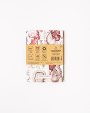 Anatomy Pocket Notebook 4-pack
