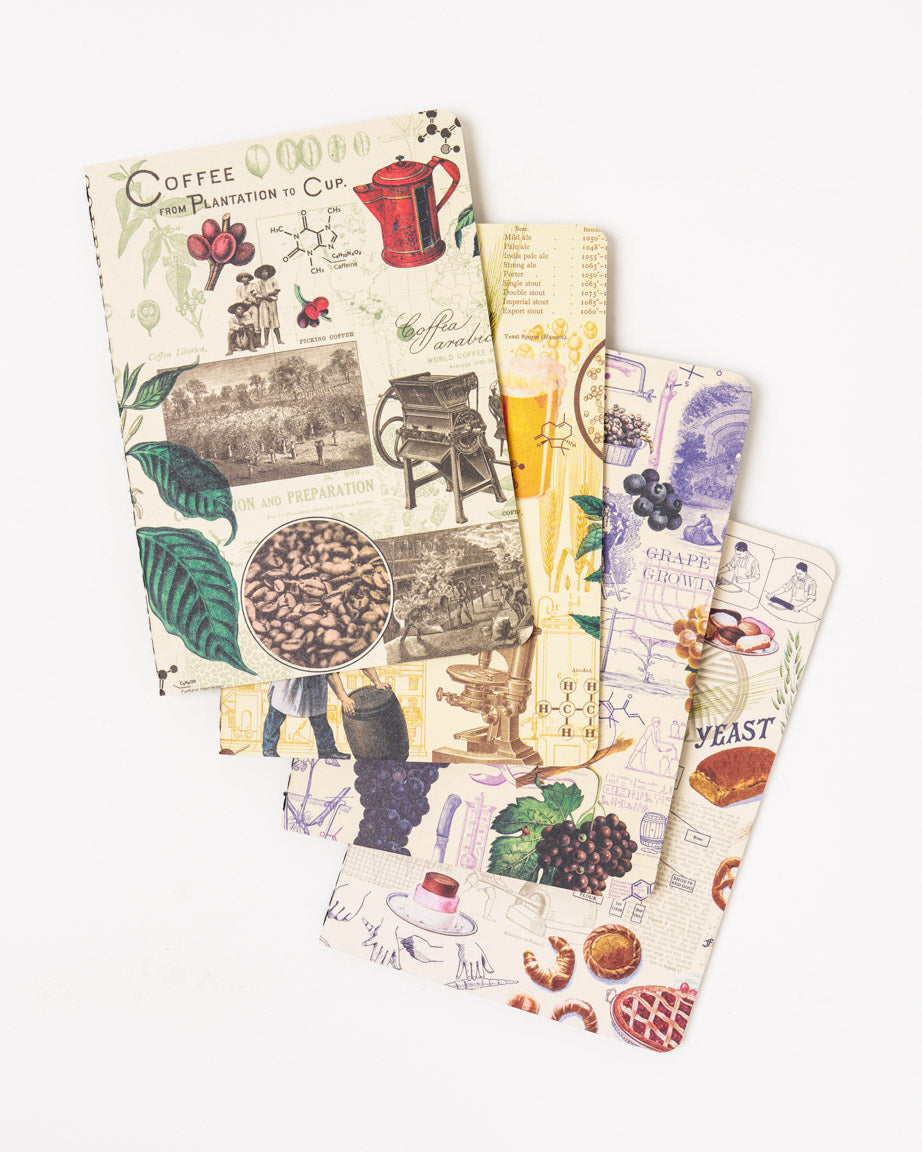 Food Science Pocket Notebook 4-pack