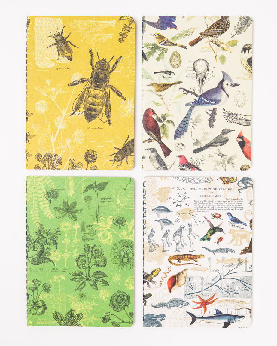 Life Science Pocket Notebook 4-pack