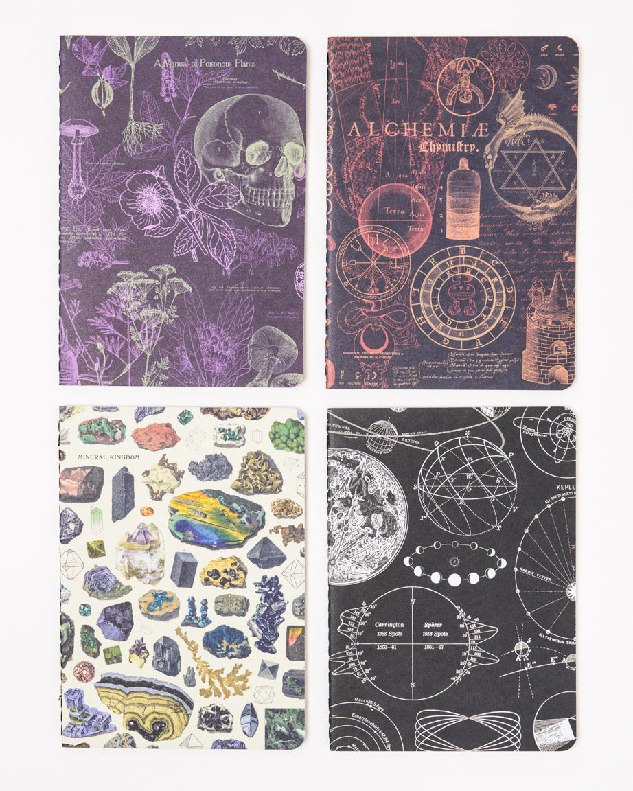 Moonlit Night Pocket Notebook 4-pack