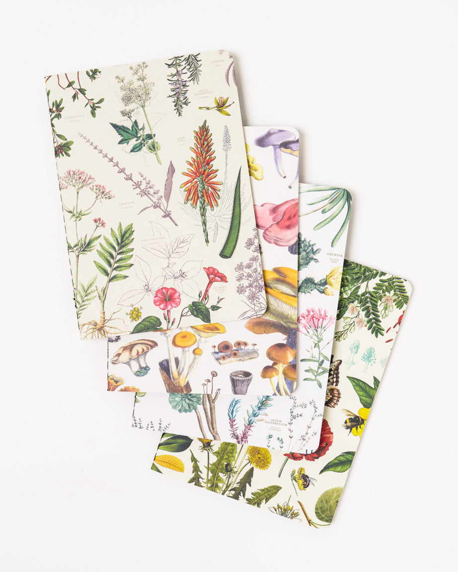 Plants & Fungi Pocket Notebook 4-pack