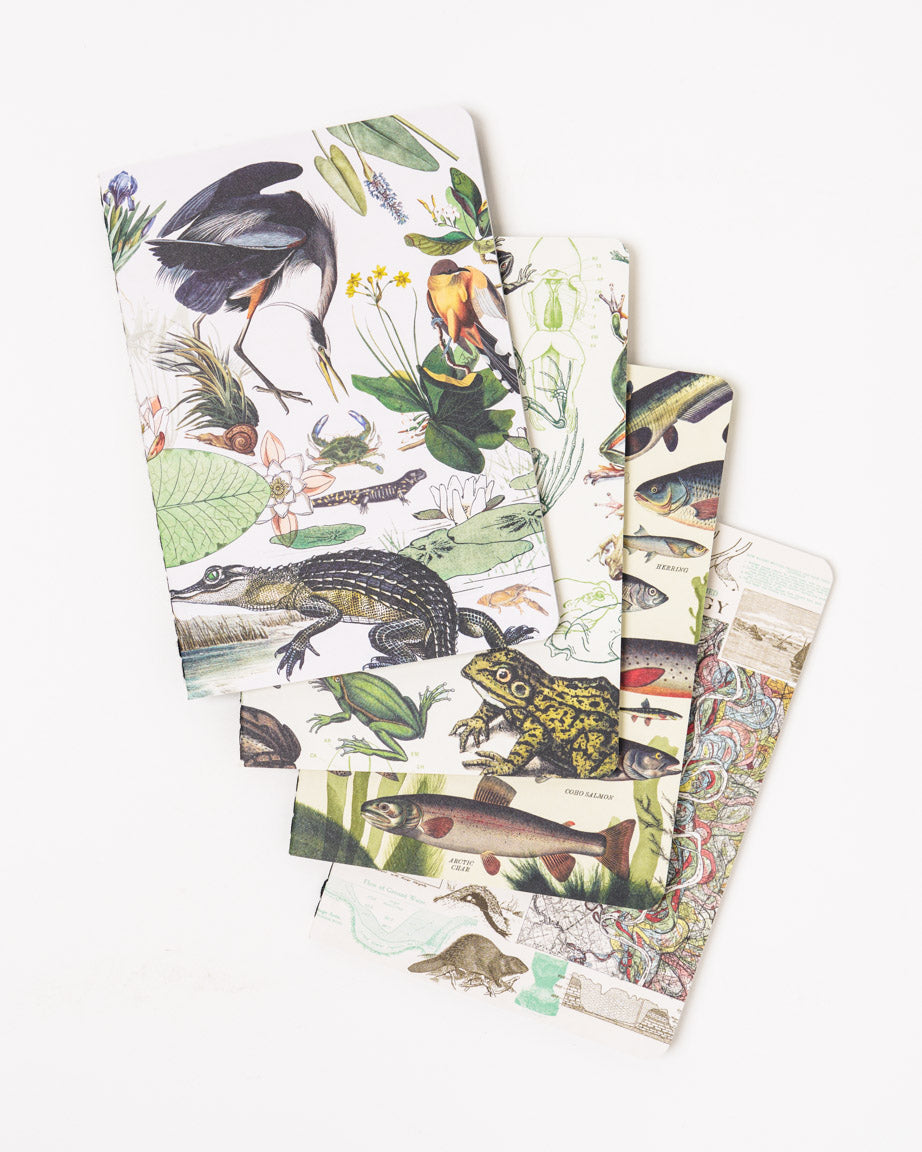 Riparian Pocket Notebook 4-pack