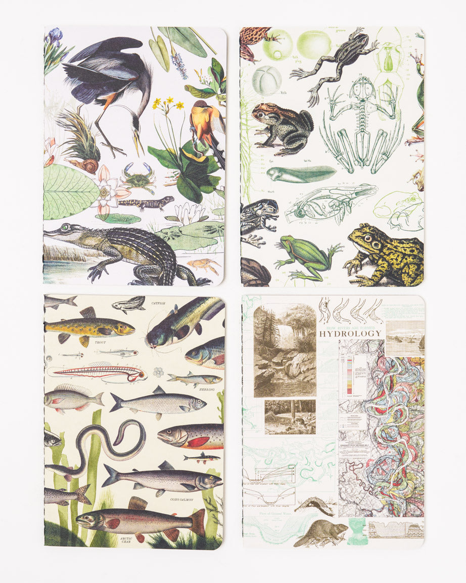 Riparian Pocket Notebook 4-pack