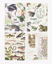 Riparian Pocket Notebook 4-pack