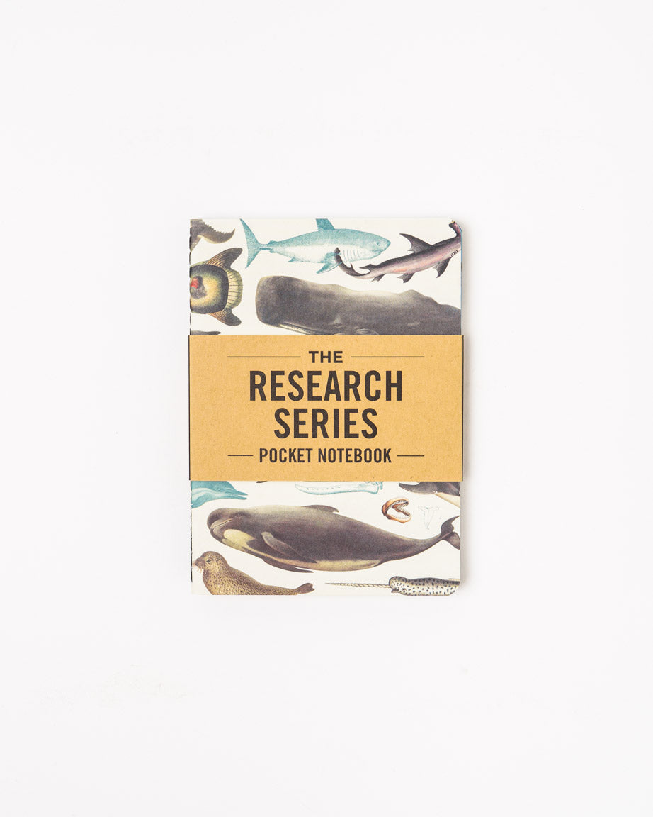 Ocean Pocket Notebook 4-pack