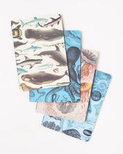 Ocean Pocket Notebook 4-pack