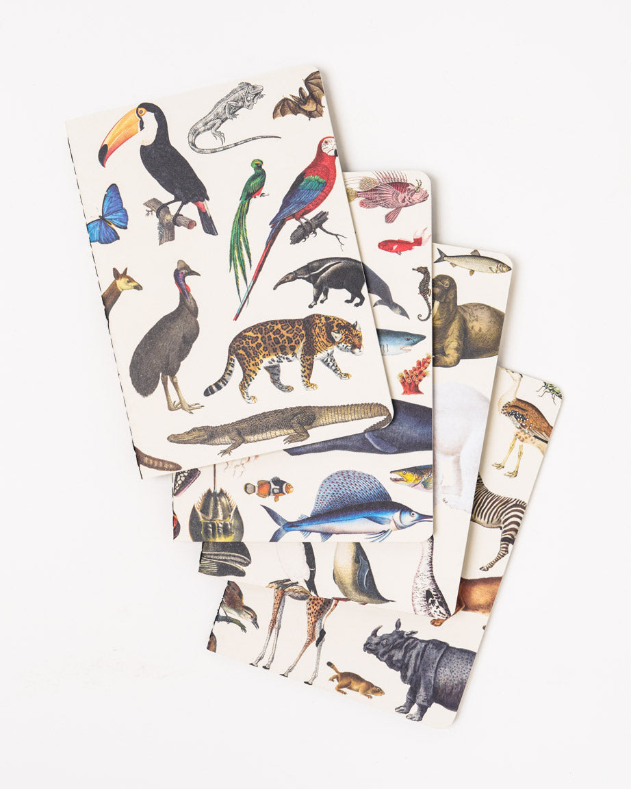 Zoology Pocket Notebook 4-pack