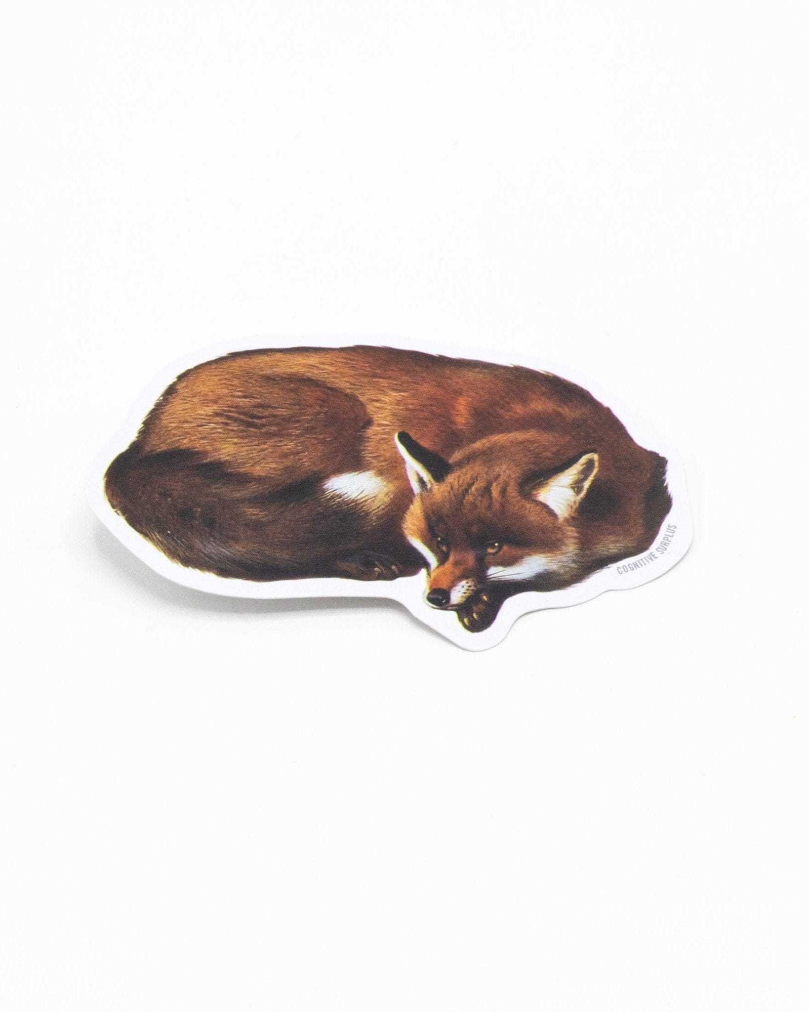 Red Fox Sticker Cognitive Surplus