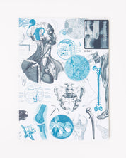 Biomedical Engineering Softcover Notebook - Dot Grid