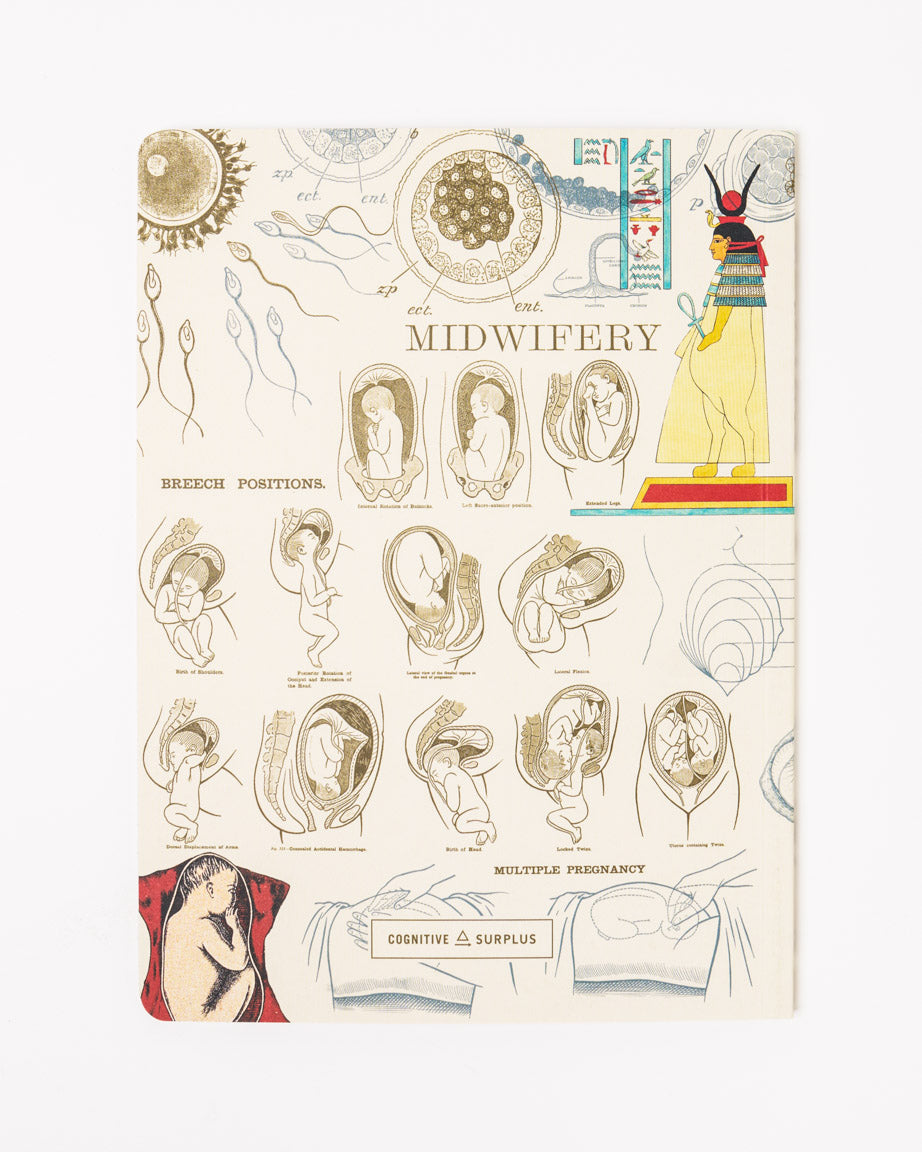 Pregnancy & Birthing Softcover Notebook - Lined