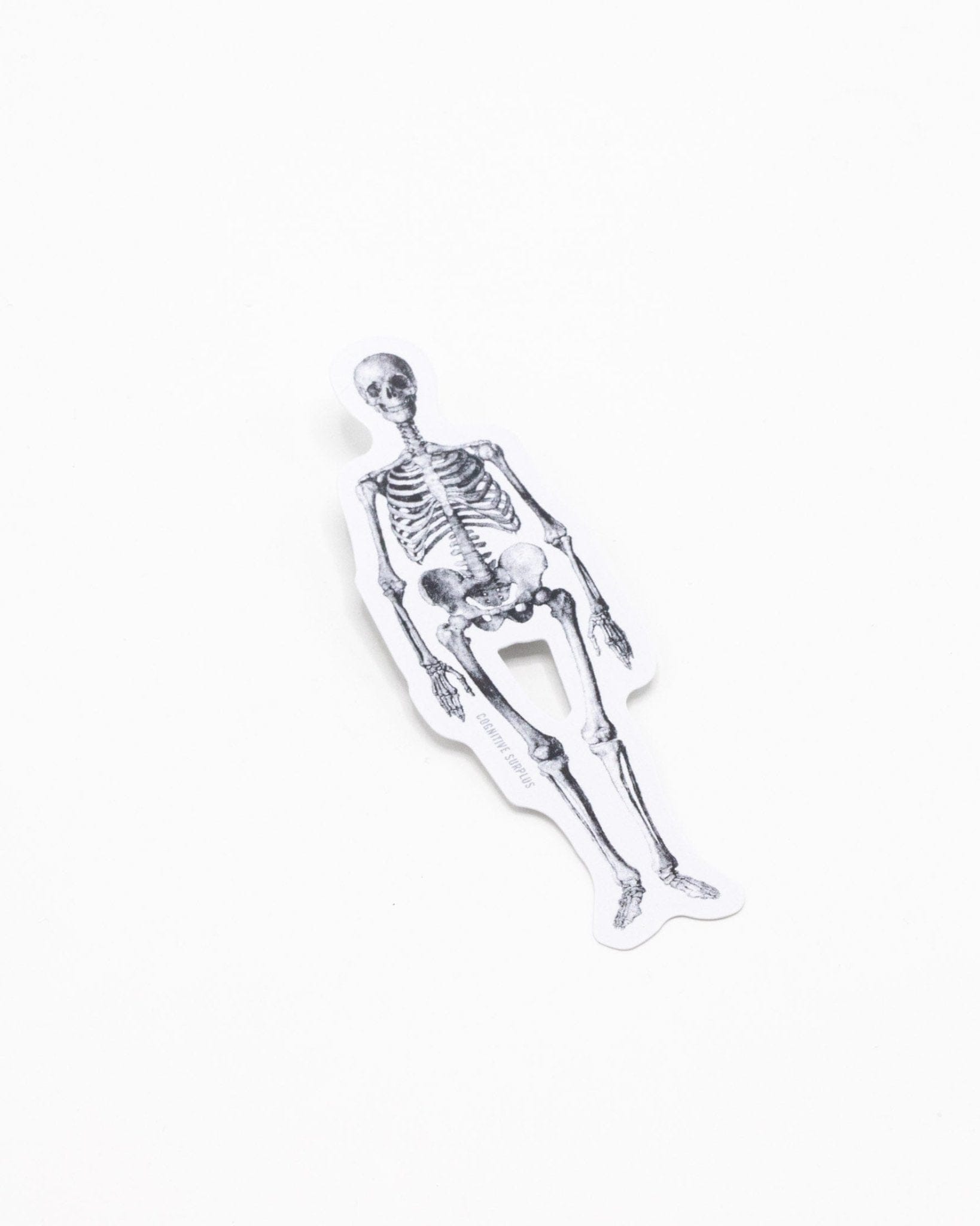 Skeleton Sticker Cognitive Surplus