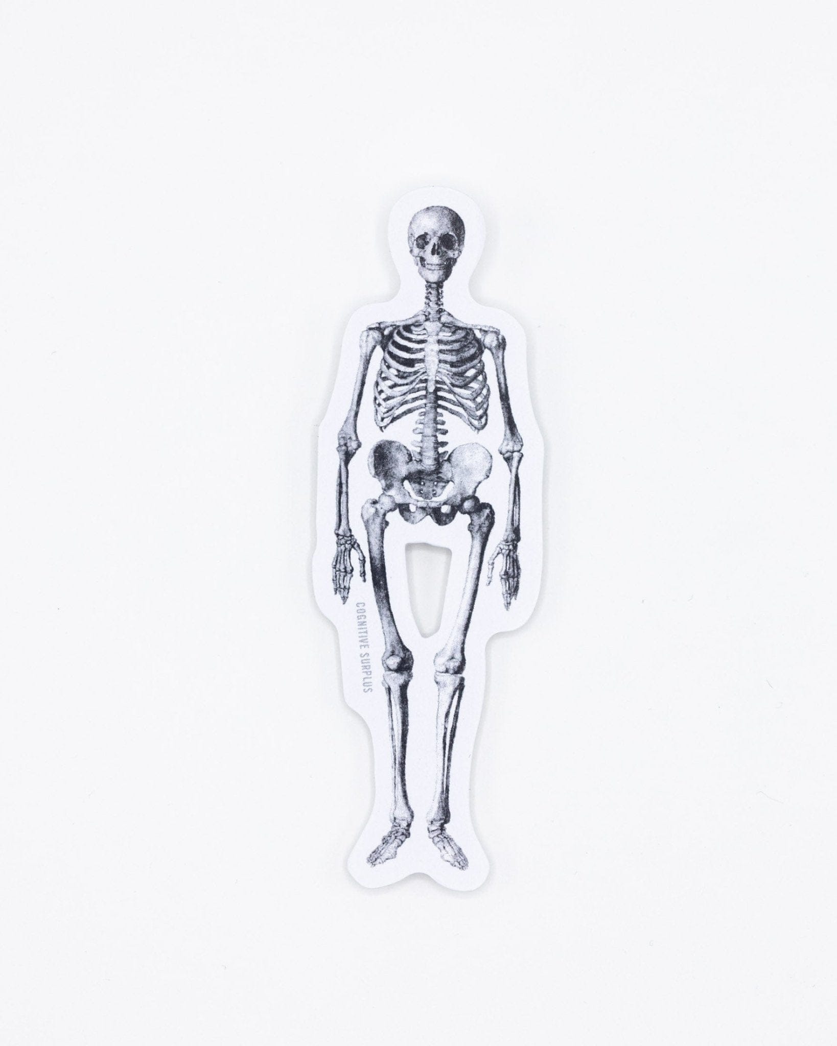 Skeleton-Sticker-Cognitive-Surplus-890.jpg