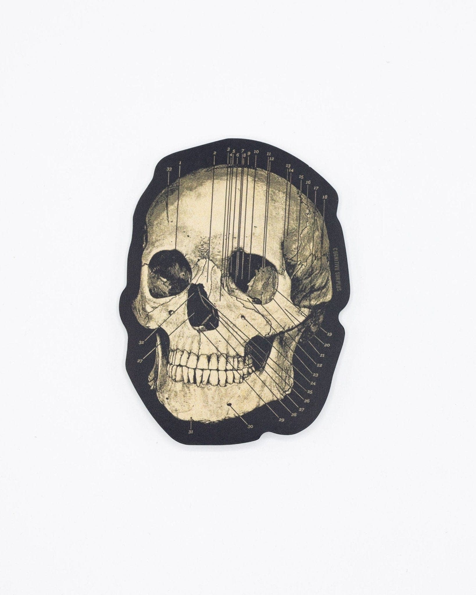 Skull-Sticker-Cognitive-Surplus-27.jpg