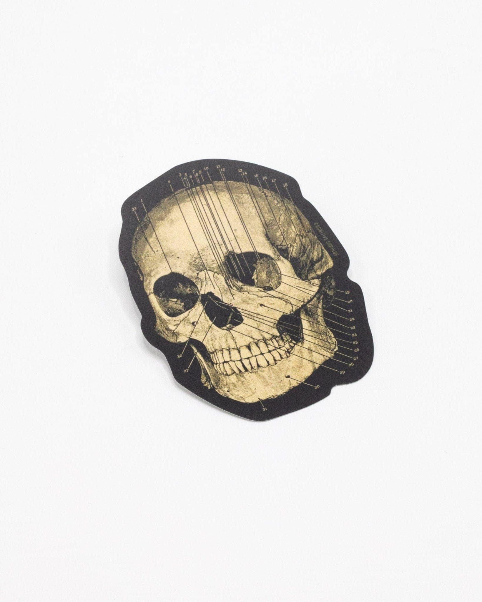 Skull Sticker Cognitive Surplus