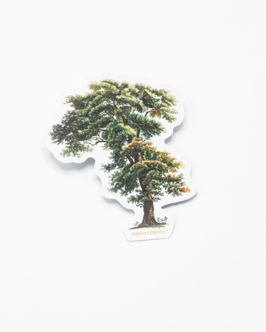 A Tall Tree sticker with a tree on it from Cognitive Surplus.
