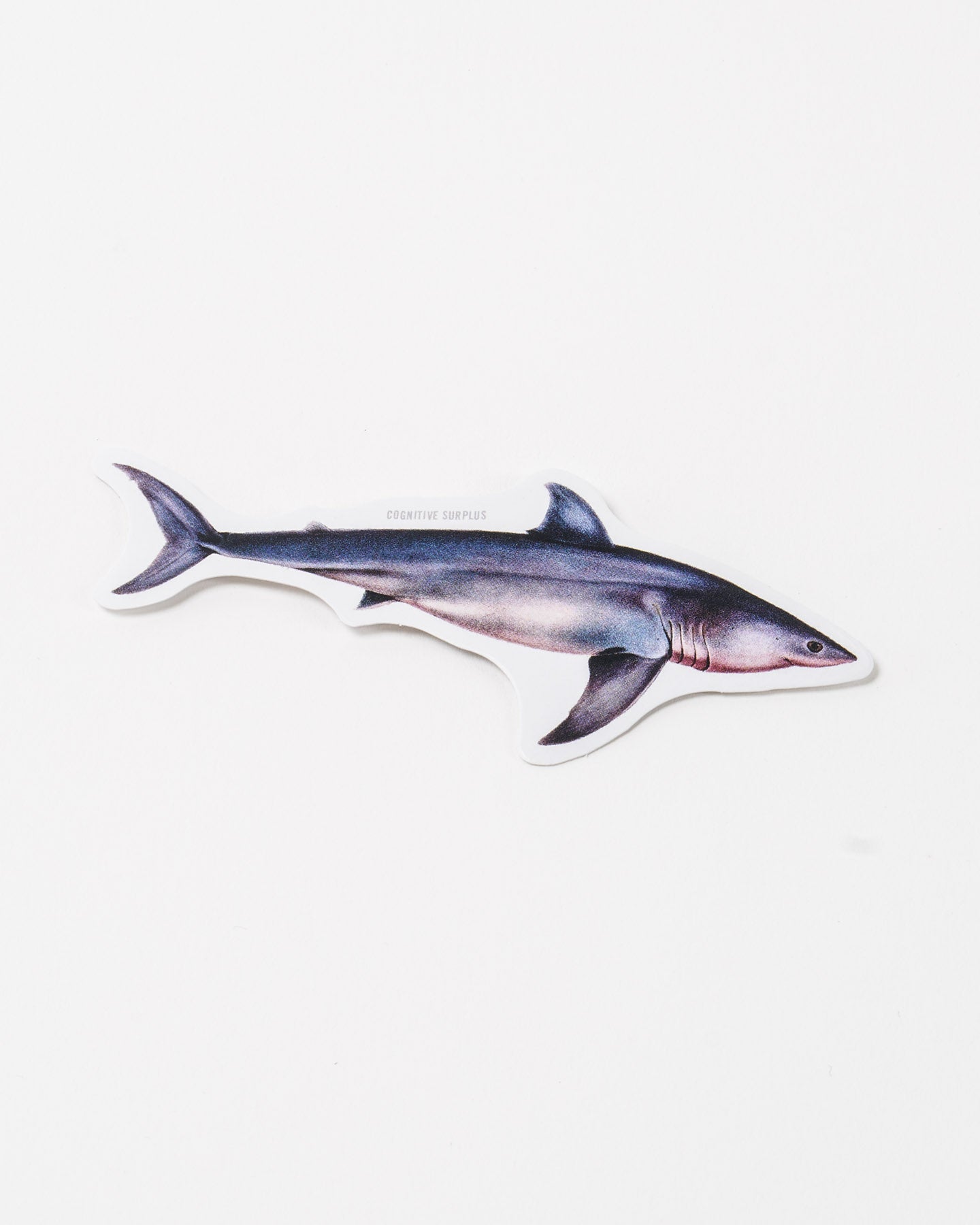 StGreatWhite_1.jpg