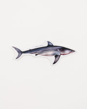 Great White Shark Sticker (Carcharodon carcharias)