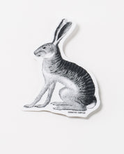 Jackrabbit Sticker (Lepus californicus)