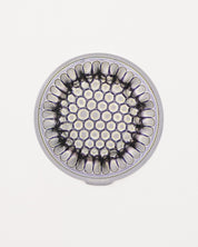Microfossil Diatom Frustule (Stephanopyxis grunowii)