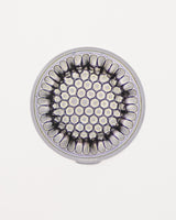 Microfossil Diatom Frustule (Stephanopyxis grunowii)
