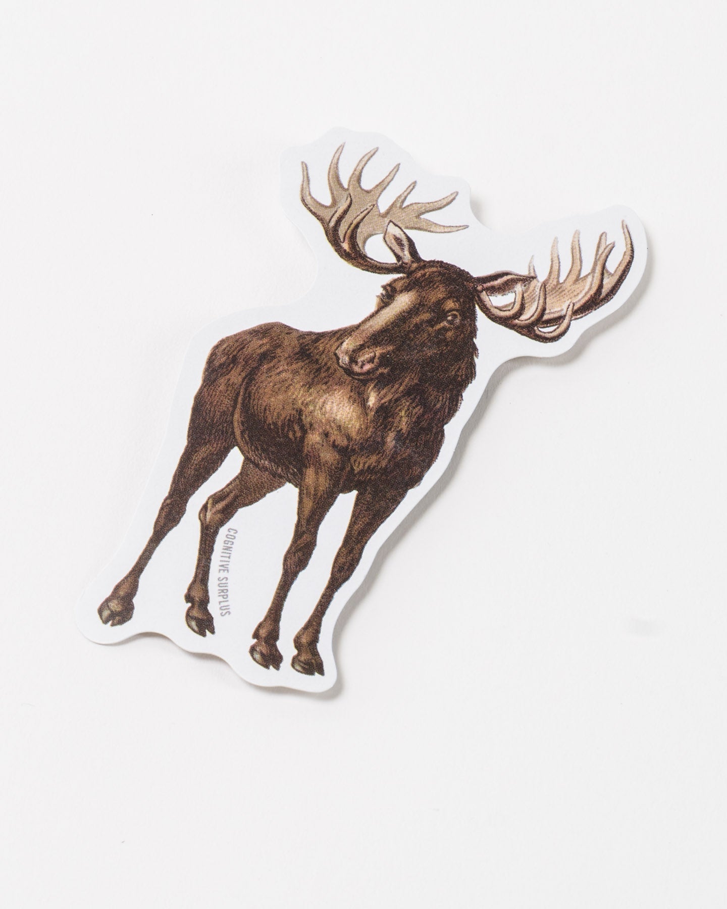 Moose Sticker (Alces alces)