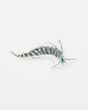 Sacoglossan Sea Slug Sticker (Elysia viridis)