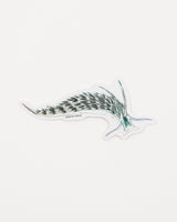 Sacoglossan Sea Slug Sticker (Elysia viridis)