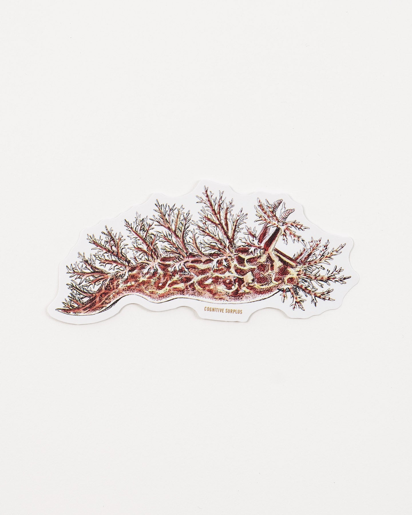 StNudi3_1.jpg