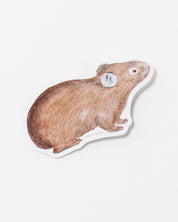 American Pika Sticker (Ochotona princeps)