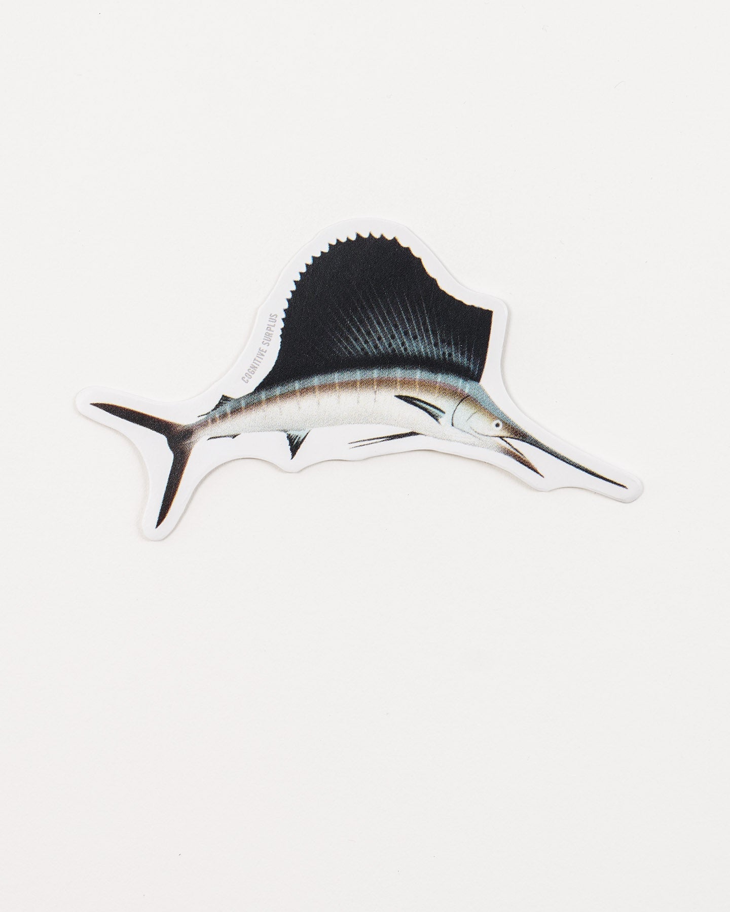 Atlantic Sailfish Sticker (Istiophorus albicans)