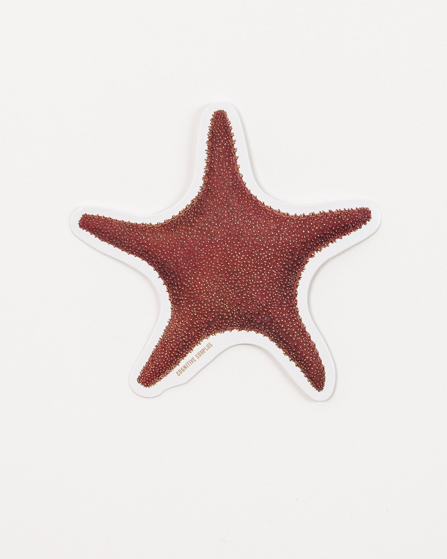 StSeaStar2_1.jpg