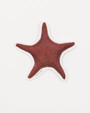 Starfish Sticker (Asteriidae)