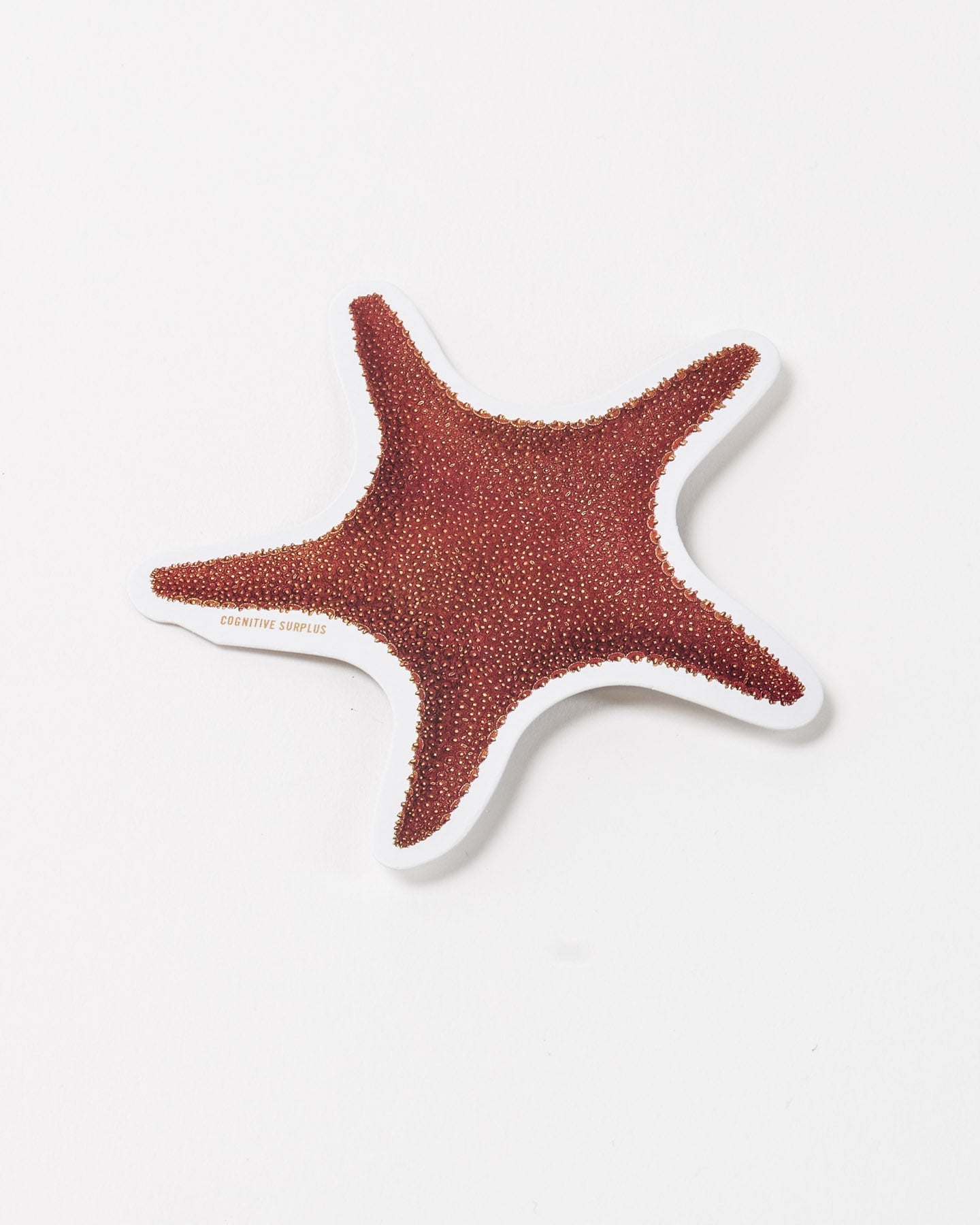 Starfish Sticker (Asteriidae)