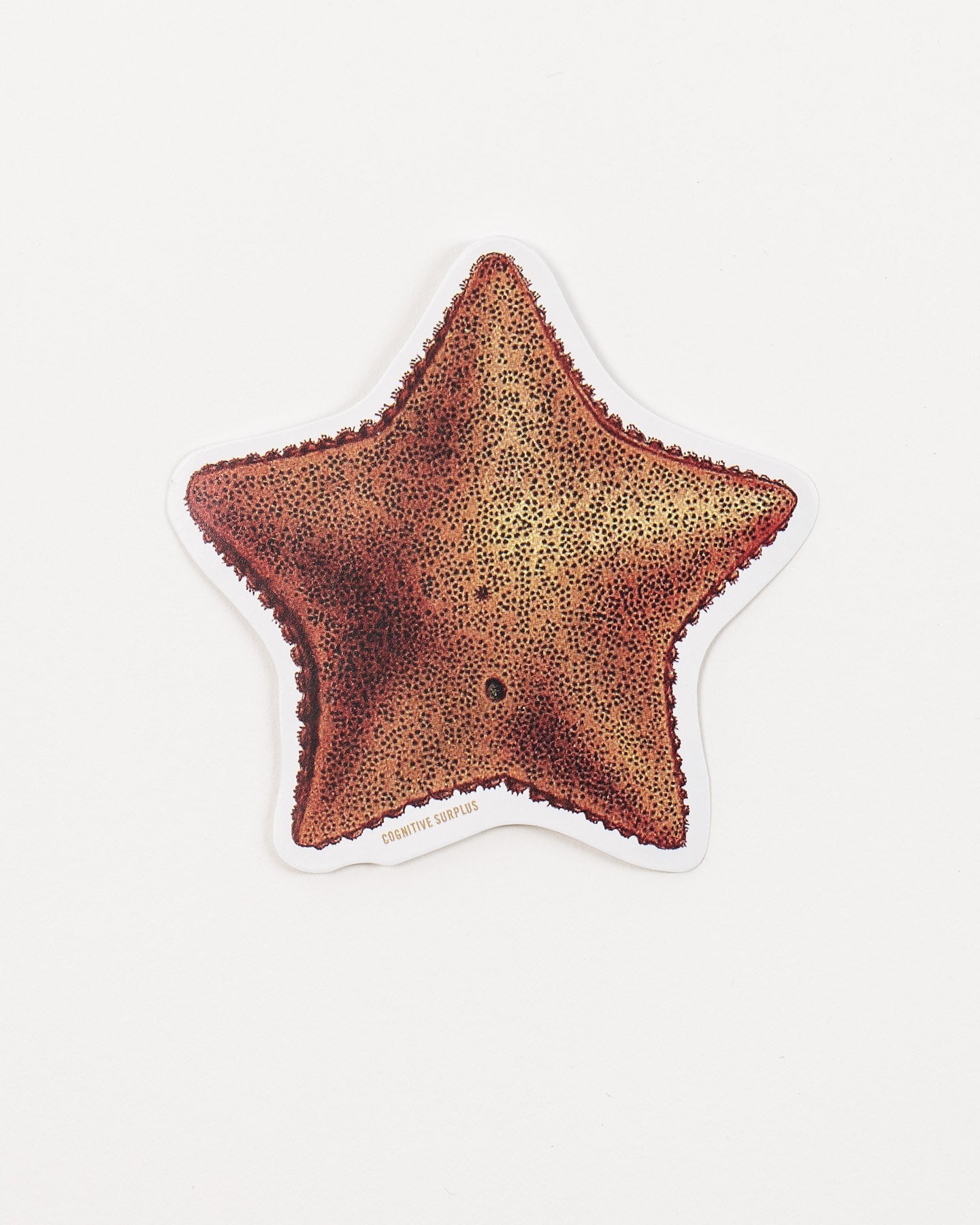 StSeaStar_1.jpg
