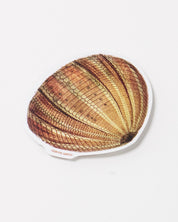 Urchin Sticker (Echinoidea)