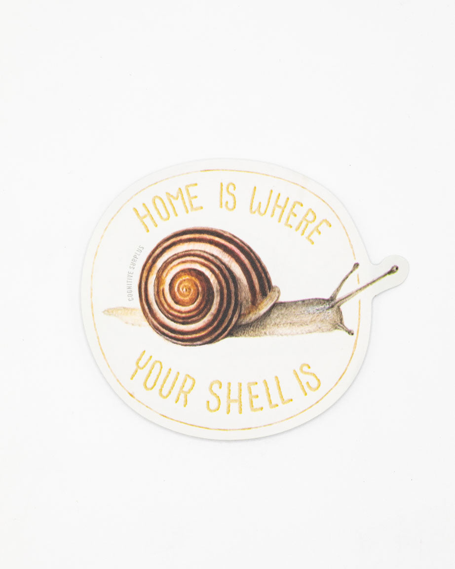 StSnailShell_1.jpg
