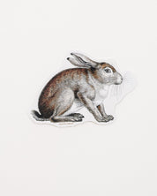 Snowshoe Hare Sticker (Lepus americanus)
