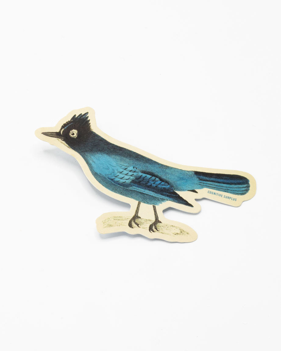 A Stellar Jay Sticker on a white background. (Brand: Cognitive Surplus)