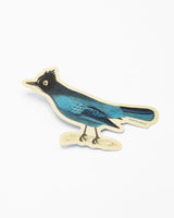 Steller Jay Sticker