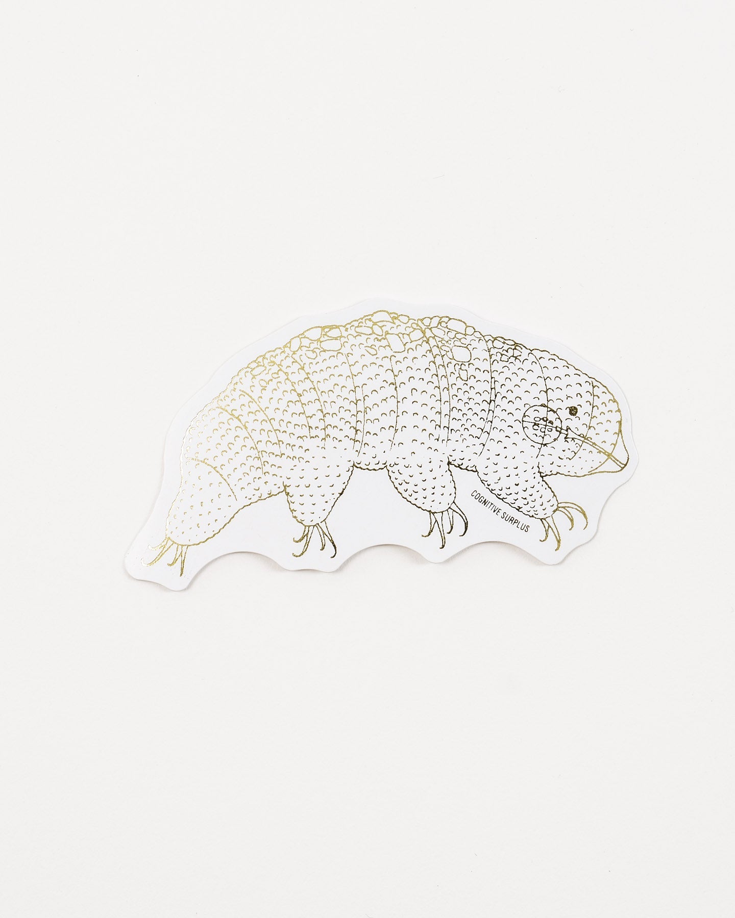 Tardigrade Sticker (Milnesium tardigradum)
