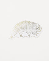 Tardigrade Sticker (Milnesium tardigradum)