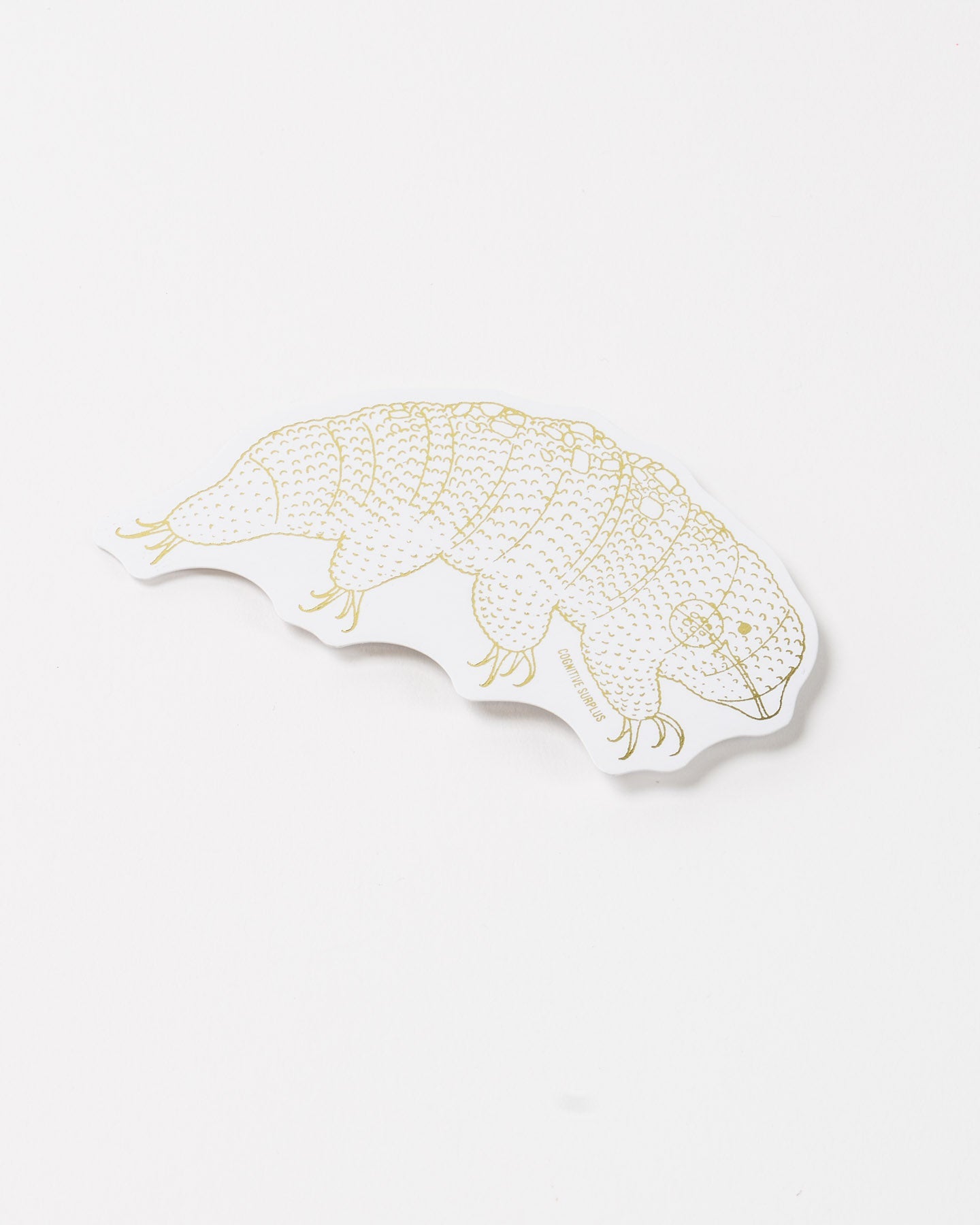 StTardigrade_2.jpg