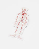 Circulatory System Sticker