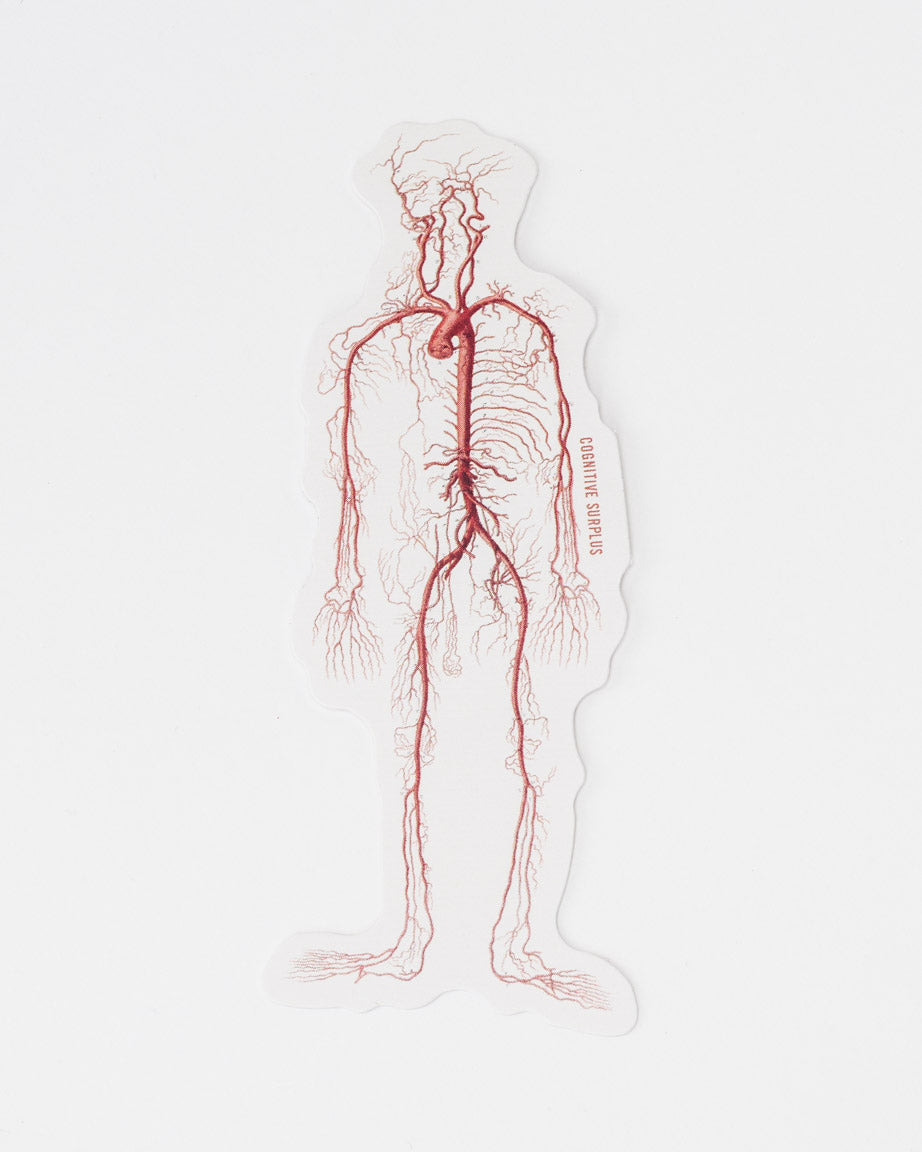 StVeins_02_8c40d53a-178a-40af-921d-1f211fa73f4a.jpg