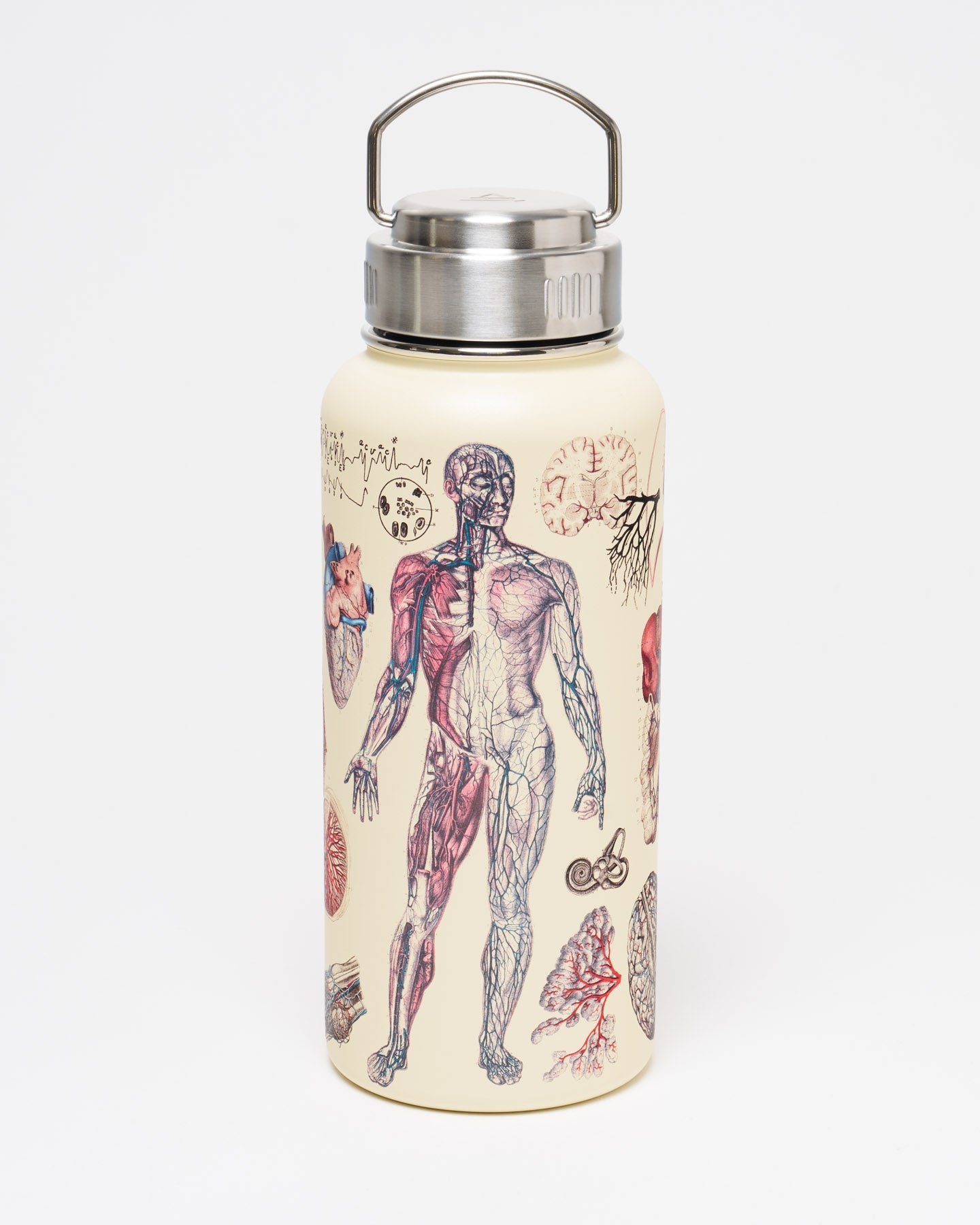 Anatomy 32 oz Steel Bottle
